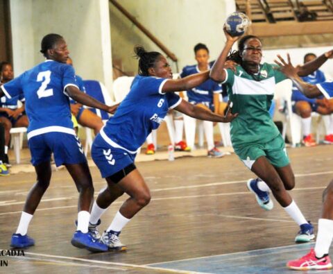 Ligue Nationale Professionnelle